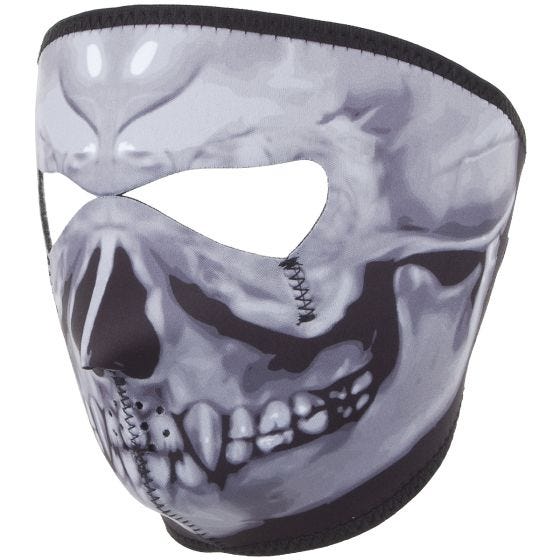 Viper Full Face Mask Skull Grey